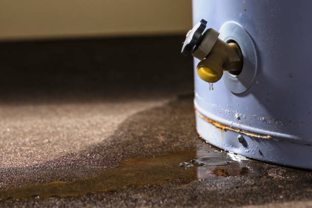 Best Water damage contractors near me  in , WY