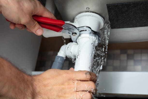 Best Sewage cleanup and water damage restoration  in , WY