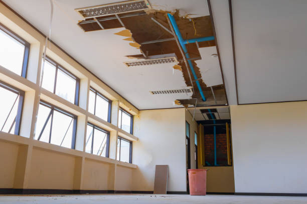 Best Local water damage restoration  in , WY