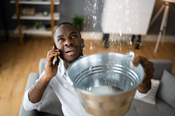 Best Fire Damage Restoration  in , WY