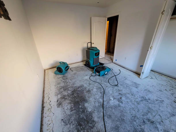 Best Residential water damage restoration  in , WY