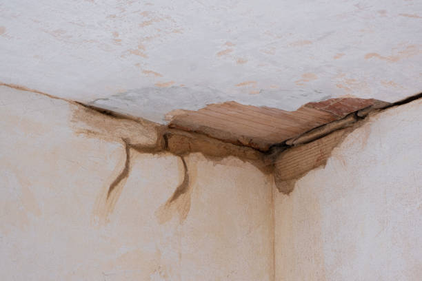 Best Residential water damage restoration  in , WY