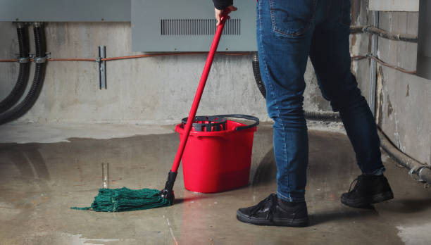 Best Flooded house restoration  in , WY