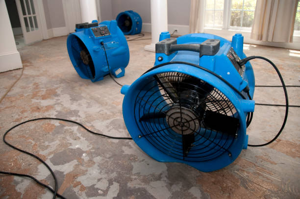 Best Water damage restoration near me  in , WY