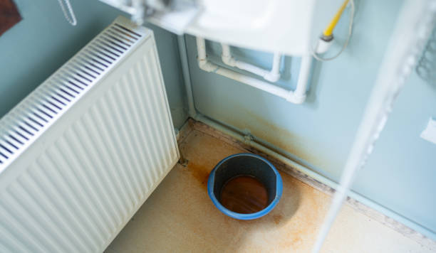 Best Basement water damage restoration  in , WY