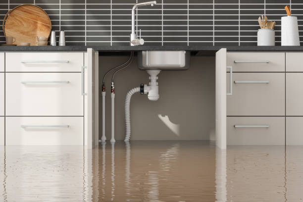 Best Water damage restoration near me  in , WY
