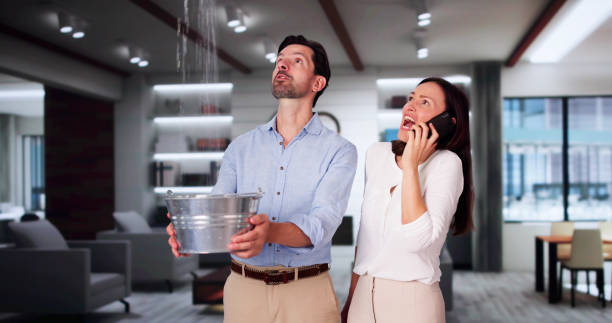 Best 24/7 water damage repair  in , WY