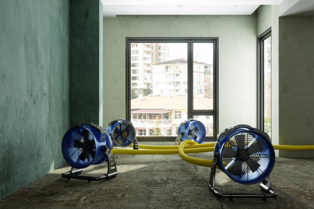 Best Carpet water damage restoration  in , WY